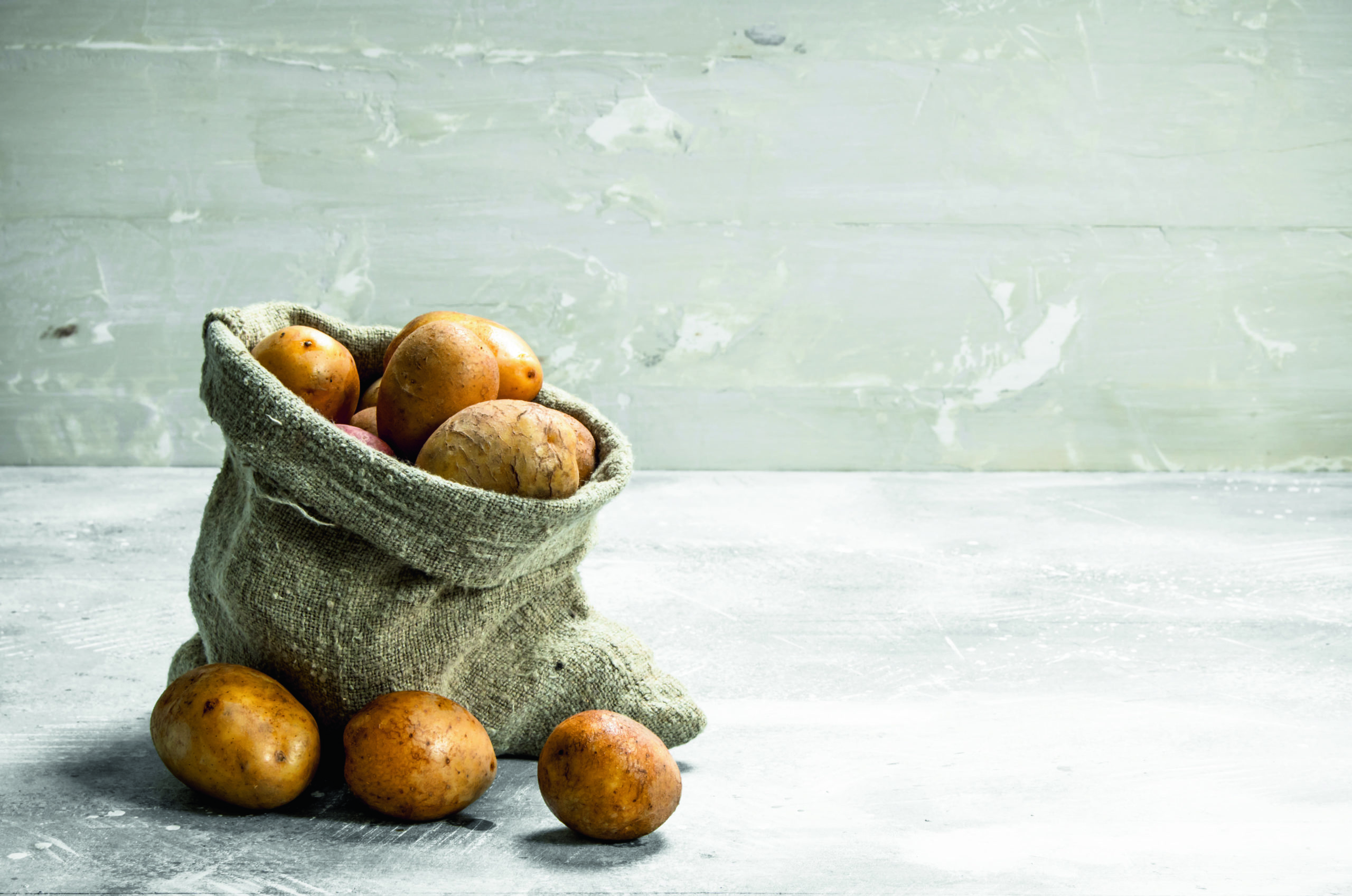 AdobeStock_254584398 (2)