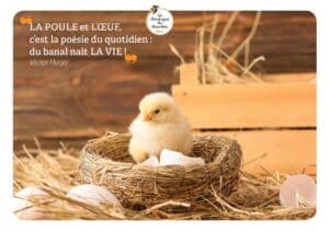 Carte A5 Citation Oeuf