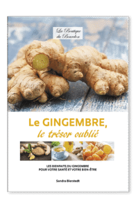 Livre bienfaits gingembre – guide pratique sur les vertus du gingembre pour la santé, la vitalité, l’immunité et les remèdes naturels