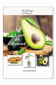 Livre bienfaits avocat – guide pratique sur les vertus de l'avocat pour la santé, la beauté et le bien-être
