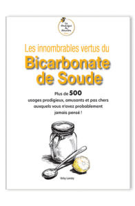 Livre bienfaits bicarbonate – guide pratique sur les vertus du bicarbonate de soude pour la santé, la maison, la beauté et le bien-être