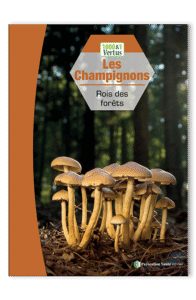 Livre bienfaits champignons – guide pratique sur les vertus des champignons pour l'immunité, la santé, la vitalité et le bien-être