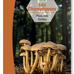 Livre bienfaits champignons – guide pratique sur les vertus des champignons pour l'immunité, la santé, la vitalité et le bien-être