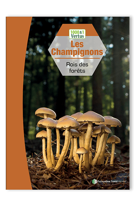 Livre bienfaits champignons – guide pratique sur les vertus des champignons pour l'immunité, la santé, la vitalité et le bien-être