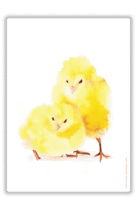 Poussins