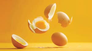 Œufs entiers et cassés illustrant les bienfaits de l'œuf pour la santé, la vitalité, l'immunité et l'alimentation équilibrée