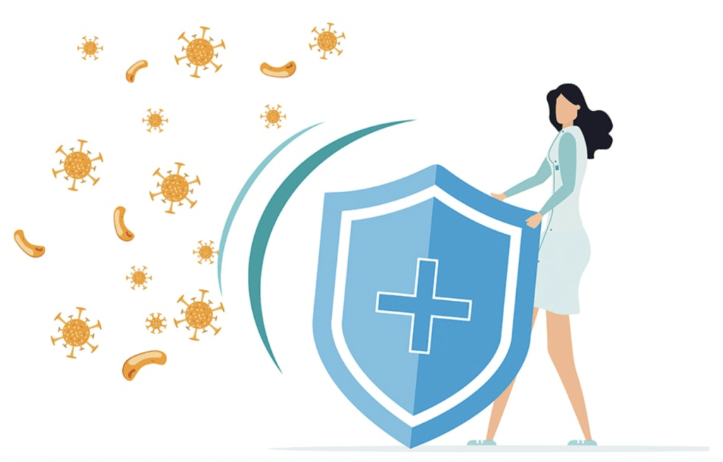 Illustration d'un bouclier protégeant contre les virus pour symboliser le renforcement naturel du système immunitaire