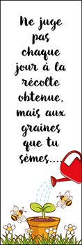 BONUS – Marque page Citation